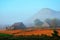 Vinales valley in the morning mist, Cuba