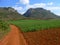 Vinales Valley, Pinar del Rio Province, Cuba