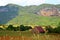 Vinales valley with typical tobacco houses, Cuba