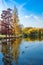 The Vincennes lake, with birds