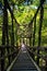 Vine bridge in Okuiya