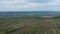 Vine cultivated area near Ploiesti , Romania, aerial footage