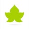 Vine green leaf icon