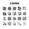 Vine Liana Exotic Growing Plant Icons Set Vector