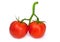 Vine Ripe Red Tomatoes