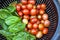 Vine Ripened Grape Tomatoes and Italian Basil