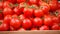 Vine Ripened Tomatoes