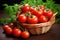 vine-ripened tomatoes arranged in a wicker basket