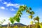 Vine Sprig On Sky Background