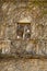 Vine on stone wall surrounding a window.