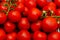 Vine tomatoes at a market stall