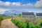 Vineales, rural Cuban tobacco farm