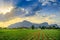 Vineales, rural Cuban tobacco farm