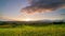 Vinery landscape in Freiburg of Germany at sunrise, time-lapse, idyllic scene, colorful clouds in the sky