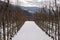 Vinery during Winter. Snow covered fields and Winery Plants