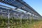 Vines covered with transparency photovoltaic modules