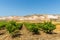 Vines and marble mines near the settlement of Scoppello, Sicily