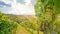 Vines in a vineyard with white wine grapes in summer, hilly agricultural landscape near winery at wine road, Styria Austria