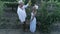 Vineyard, aerial view on man and woman farmers together in straw hats looks at bunch of grapes