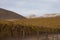 Vineyard in the Atacama Desert, Chile