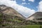 Vineyard in Atacama Desert, Elqui Valley, Chile