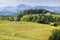 vineyard at the Austrian Slovenian border in Styria