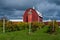 Vineyard and barn, door county, wisconsin