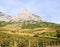 Vineyard and the Biokovo mountains near Baska Voda in Dalmatia, Croatia