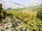 Vineyard and the Biokovo mountains near Baska Voda in Dalmatia, Croatia