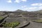 Vineyard on black volcanic soil in La Geria area. Lanzarote