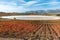 Vineyard and Carralogrono lake in autumn with Laguardia town as background, Spain