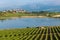 Vineyard and CarralogroÃ±o lake with Laguardia town as background, Rioja Alavesa, Spain
