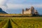 Vineyard and Castle