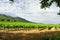 Vineyard in Catalonia