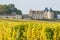 Vineyard and Chateau d`Yquem, Sauternes Region