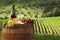 Vineyard in Chianti, Tuscany