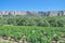 Vineyard,Cote de Provence,France