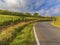 Vineyard countryside in Tuscany, Italy