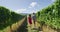 Vineyard couple tourists New Zealand travel visiting Marlborough region winery