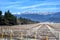 vineyard covered with snow in winter . Hoarfrost icing frosting in Azerbailan vineyard, frozen vineyard