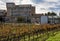 Vineyard cultivation and a greenhouse, UIB