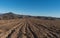 Vineyard cultivation in the Sierra de la Contraviesa in the south of Spain