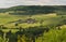 Vineyard in Dorking, Surrey, England