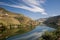 Vineyard on Douro river