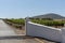 Vineyard and the Durbanville Hills in the Western Cape, South Africa