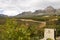 Vineyard Erni Els in South Africa