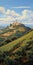 Vineyard Fields Near Castle: A Dalhart Windberg Inspired Hill Painting