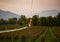 Vineyard in Franciacorta, Brescia, Lombardy, Italy