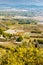 vineyard, Gordes, Provence, France