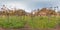 Vineyard with grape in autumn in the mountains Image with 3D spherical panorama with 360 degree viewing angle. Ready for virtual